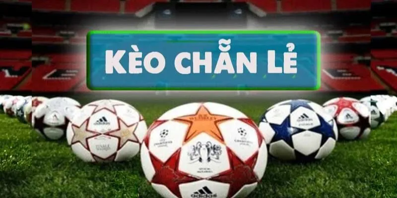 Tìm Hiểu Các Loại Kèo Chẵn Lẻ Thông Dụng