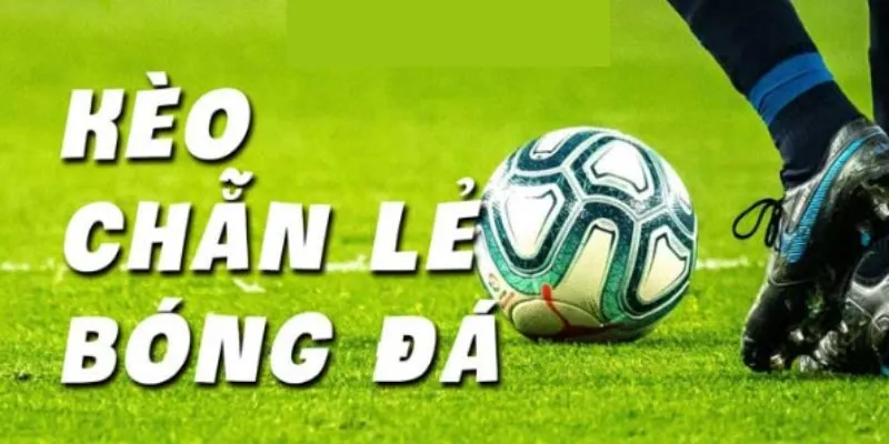 Những điều cần lưu ý khi tham gia đặt tỷ lệ chiến thắng.